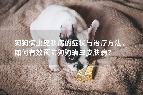 狗狗螨蟲皮膚病的癥狀與治療方法，如何有效預防狗狗螨蟲皮膚病？