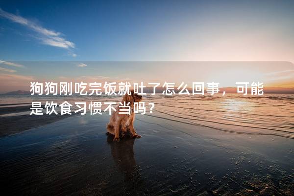 狗狗剛吃完飯就吐了怎么回事，可能是飲食習(xí)慣不當(dāng)嗎？