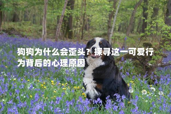 狗狗為什么會歪頭？探尋這一可愛行為背后的心理原因