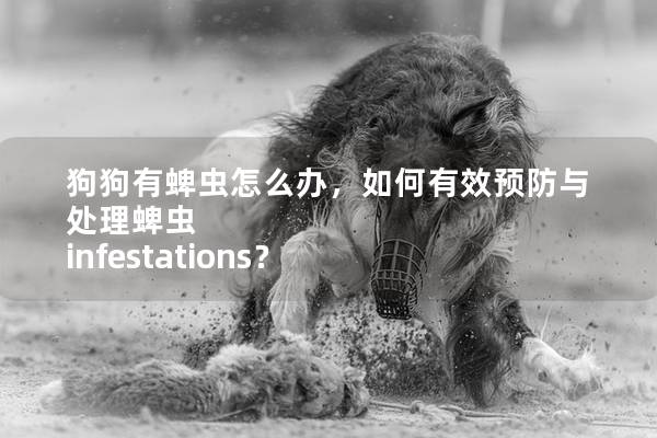 狗狗有蜱蟲怎么辦，如何有效預防與處理蜱蟲 infestations？