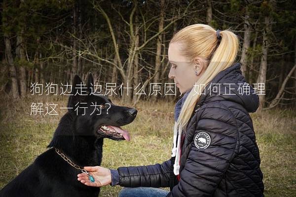 狗狗邊走邊尿什么原因，如何正確理解這一行為？