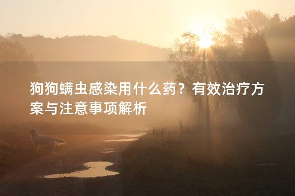 狗狗螨蟲感染用什么藥？有效治療方案與注意事項解析