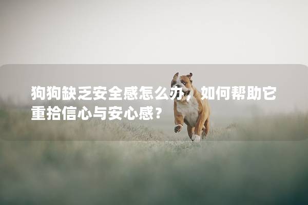 狗狗缺乏安全感怎么辦，如何幫助它重拾信心與安心感？