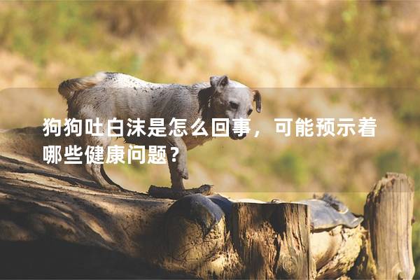狗狗吐白沫是怎么回事，可能預示著哪些健康問題？