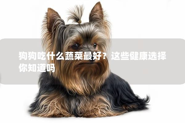 狗狗吃什么蔬菜最好？這些健康選擇你知道嗎