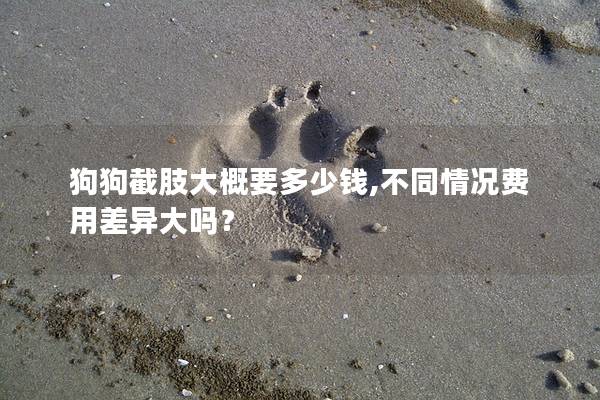 狗狗截肢大概要多少錢,不同情況費用差異大嗎？