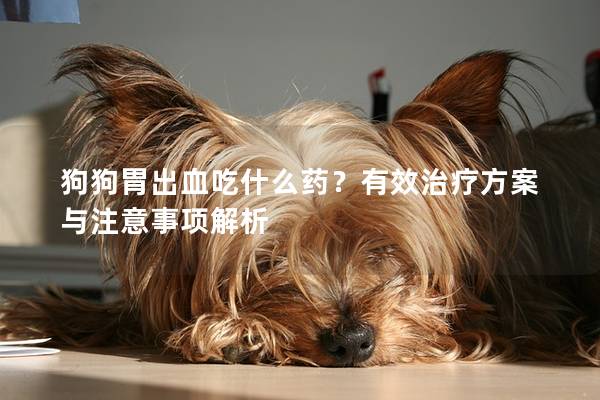 狗狗胃出血吃什么藥？有效治療方案與注意事項(xiàng)解析
