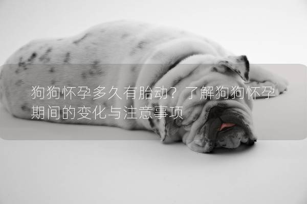 狗狗懷孕多久有胎動？了解狗狗懷孕期間的變化與注意事項