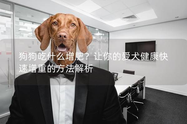 狗狗吃什么增肥？讓你的愛犬健康快速增重的方法解析
