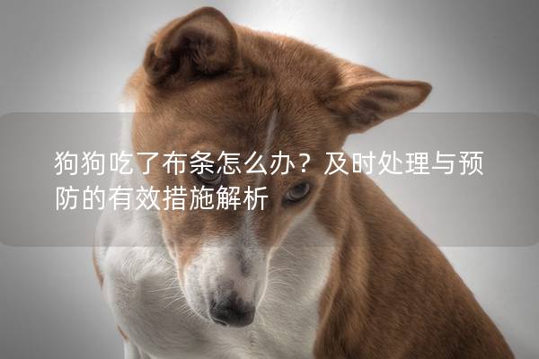 狗狗吃了布條怎么辦？及時處理與預防的有效措施解析