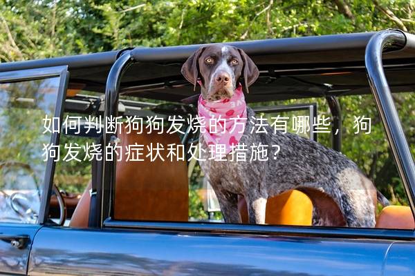 如何判斷狗狗發(fā)燒的方法有哪些，狗狗發(fā)燒的癥狀和處理措施？