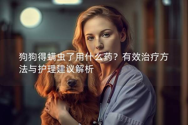 狗狗得螨蟲了用什么藥？有效治療方法與護理建議解析