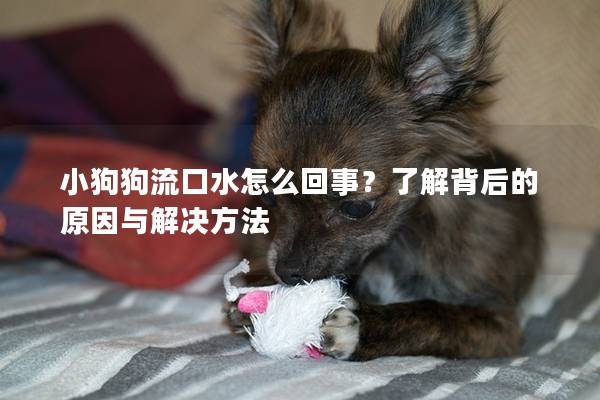 小狗狗流口水怎么回事？了解背后的原因與解決方法