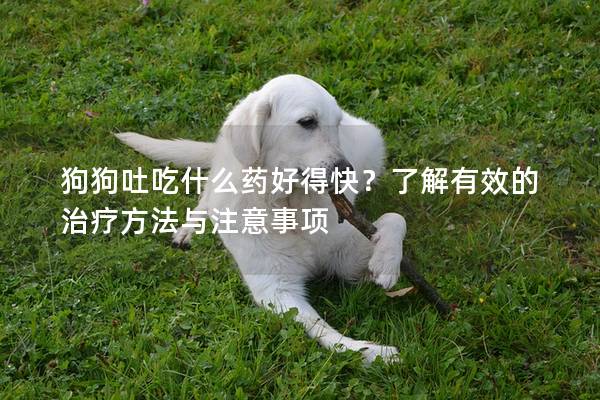 狗狗吐吃什么藥好得快？了解有效的治療方法與注意事項(xiàng)