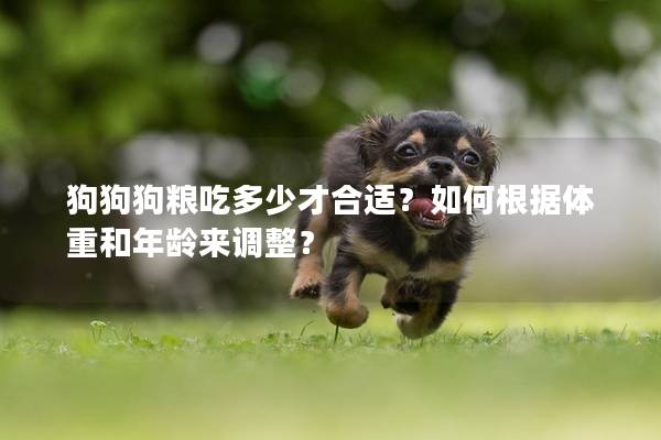 狗狗狗糧吃多少才合適?如何根據體重和年齡來調整? 狗狗狗糧吃多少才合適?如何根據體重和年齡來調整?