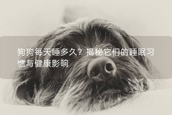 狗狗每天睡多久？揭秘它們的睡眠習慣與健康影響