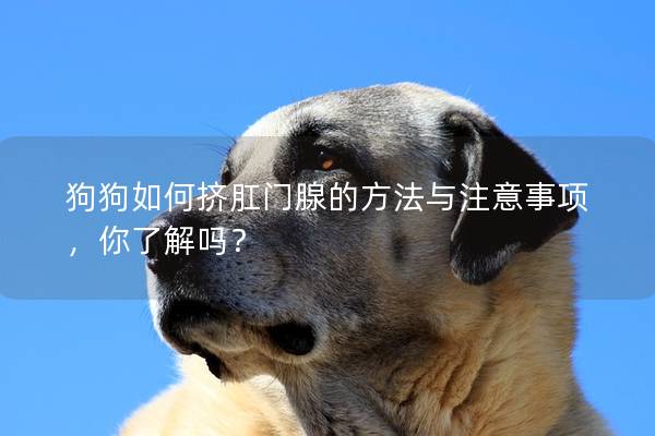 狗狗如何擠肛門腺的方法與注意事項，你了解嗎？