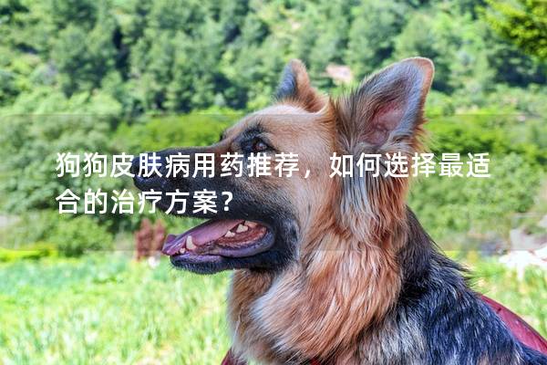 狗狗皮膚病用藥推薦，如何選擇最適合的治療方案？