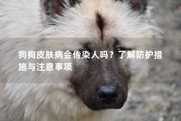 狗狗皮膚病會傳染人嗎？了解防護措施與注意事項