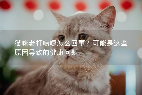貓咪老打噴嚏怎么回事？可能是這些原因?qū)е碌慕】祮栴}