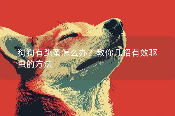 狗狗有跳蚤怎么辦？教你幾招有效驅蟲的方法