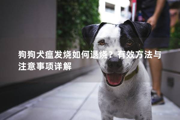 狗狗犬瘟發燒如何退燒？有效方法與注意事項詳解
