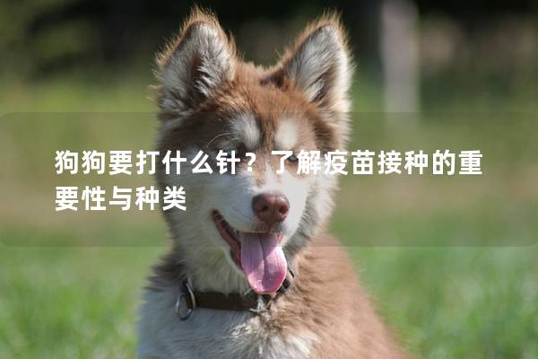 狗狗要打什么針？了解疫苗接種的重要性與種類