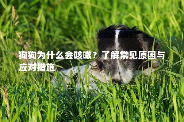 狗狗為什么會咳嗽？了解常見原因與應對措施