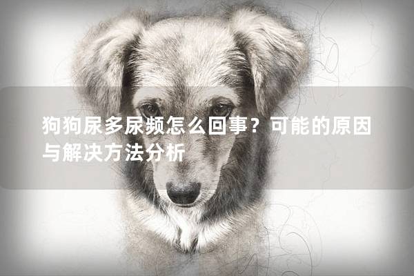 狗狗尿多尿頻怎么回事？可能的原因與解決方法分析