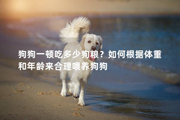狗狗一頓吃多少狗糧？如何根據體重和年齡來合理喂養狗狗
