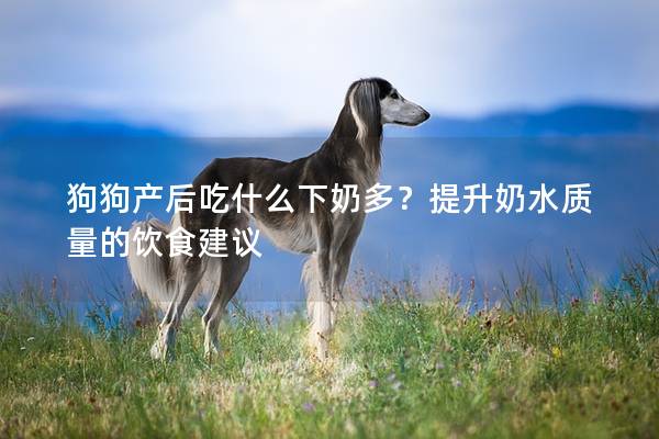 狗狗產后吃什么下奶多?提升奶水質量的飲食建議 狗狗產后吃什么下奶多?提升奶水質量的飲食建議