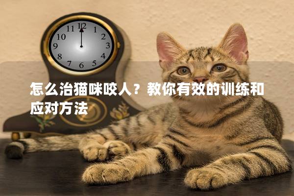 怎么治貓咪咬人？教你有效的訓練和應對方法