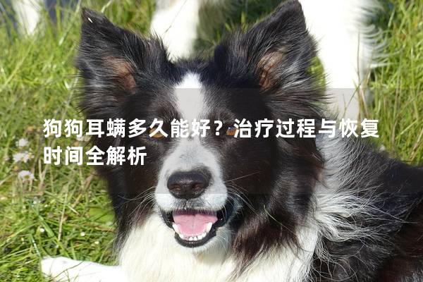 狗狗耳螨多久能好？治療過程與恢復(fù)時(shí)間全解析