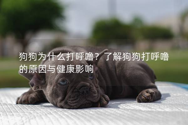 狗狗為什么打呼嚕？了解狗狗打呼嚕的原因與健康影響