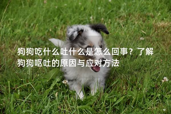 狗狗吃什么吐什么是怎么回事？了解狗狗嘔吐的原因與應對方法