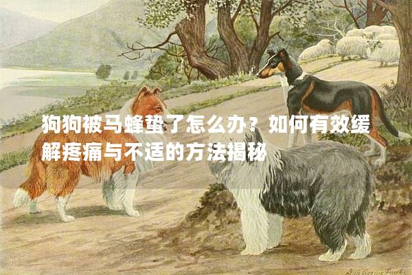狗狗被馬蜂蟄了怎么辦？如何有效緩解疼痛與不適的方法揭秘