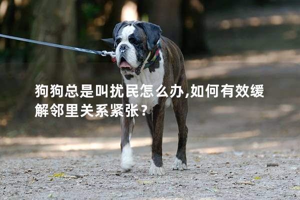 狗狗總是叫擾民怎么辦,如何有效緩解鄰里關系緊張？