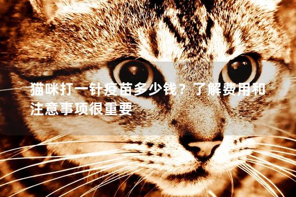 貓咪打一針疫苗多少錢？了解費用和注意事項很重要