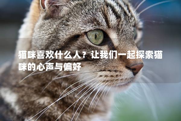 貓咪喜歡什么人？讓我們一起探索貓咪的心聲與偏好