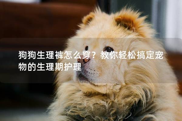 狗狗生理褲怎么穿？教你輕松搞定寵物的生理期護理