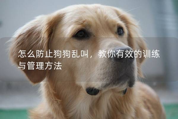 怎么防止狗狗亂叫，教你有效的訓練與管理方法