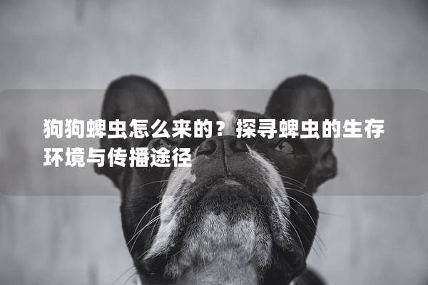 狗狗蜱蟲怎么來的？探尋蜱蟲的生存環(huán)境與傳播途徑