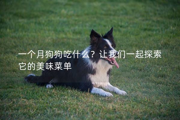 一個(gè)月狗狗吃什么？讓我們一起探索它的美味菜單