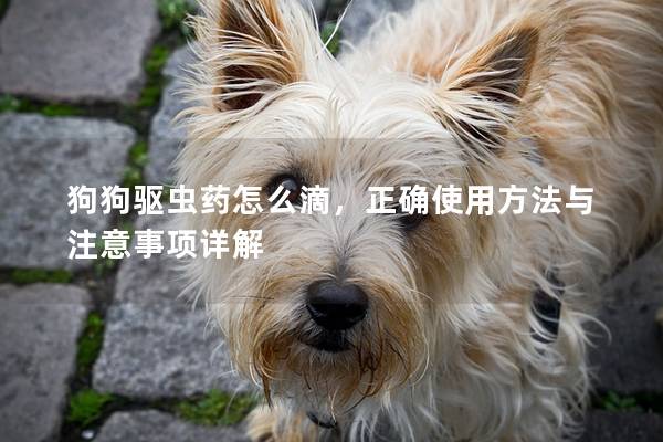 狗狗驅蟲藥怎么滴，正確使用方法與注意事項詳解