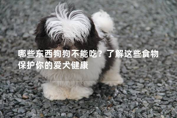 哪些東西狗狗不能吃？了解這些食物保護(hù)你的愛犬健康