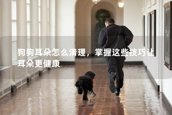狗狗耳朵怎么清理，掌握這些技巧讓耳朵更健康