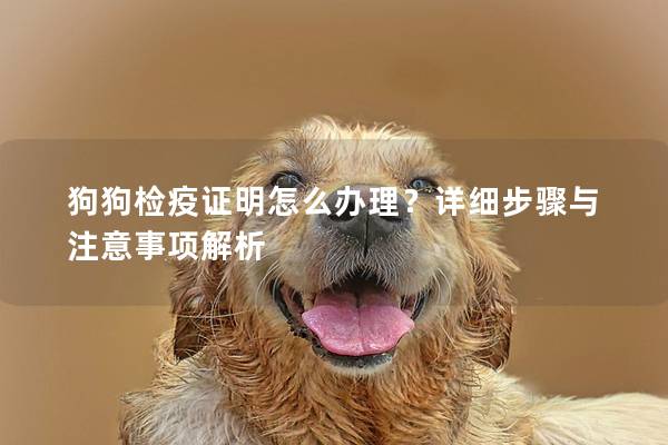 狗狗檢疫證明怎么辦理？詳細步驟與注意事項解析