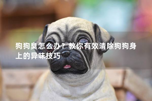 狗狗臭怎么辦？教你有效清除狗狗身上的異味技巧