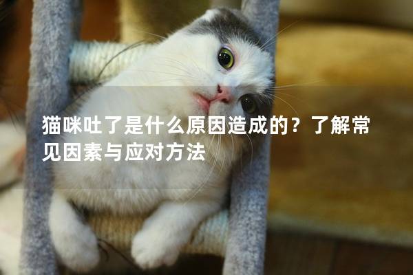 貓咪吐了是什么原因造成的？了解常見因素與應對方法