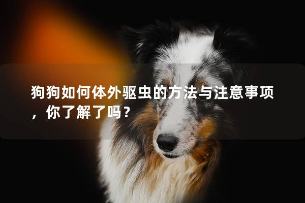 狗狗如何體外驅(qū)蟲的方法與注意事項，你了解了嗎？